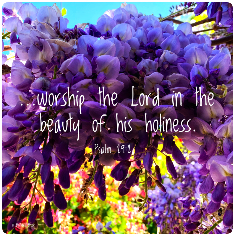 In the Beauty of His Holiness