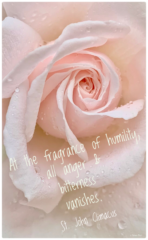 Fragrance of Humility